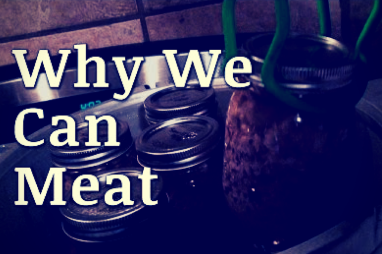 3 Reasons To Start Canning Meat