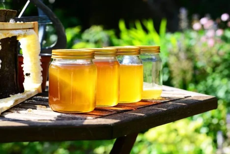 Honey: long-lasting, sugar supplier, healing agent, wound care