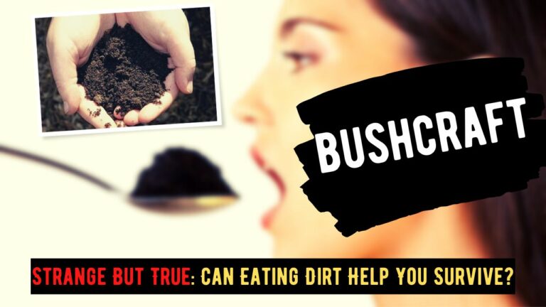 Strange But True: Can Eating Dirt Help You Survive?