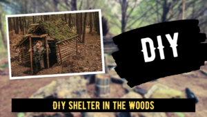 DIY Shelter in the Woods