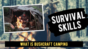 What is Bushcraft Camping