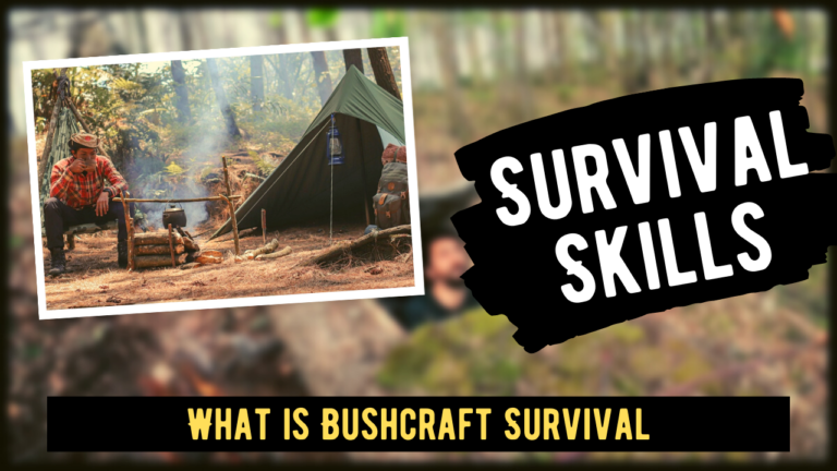 What is Bushcraft Survival